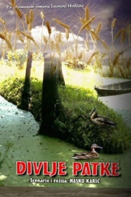 Wild Ducks